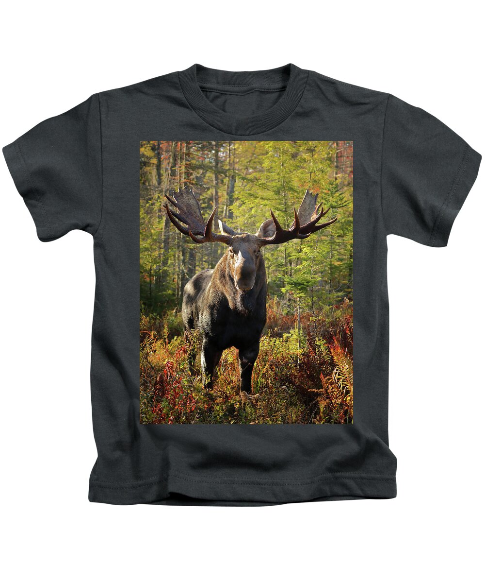 Moose Kids T-Shirt featuring the photograph Getting a Bit Too Close by Duane Cross