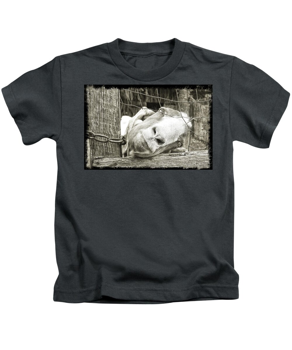 Goat Kids T-Shirt featuring the photograph Goat Stare by Scott Hansen