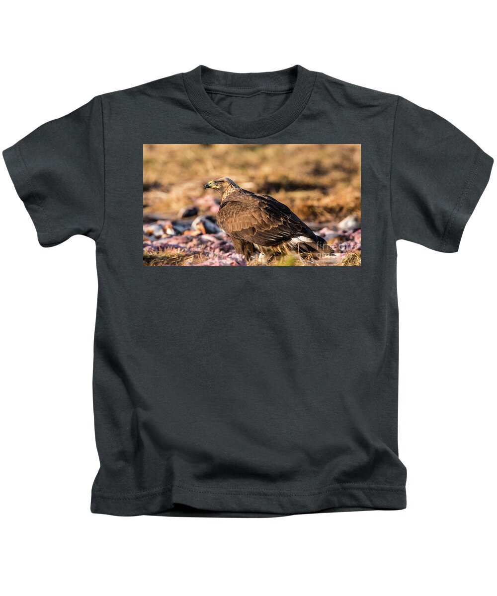 Golden Eagle Kids T-Shirt featuring the photograph Golden Eagle's Back by Torbjorn Swenelius