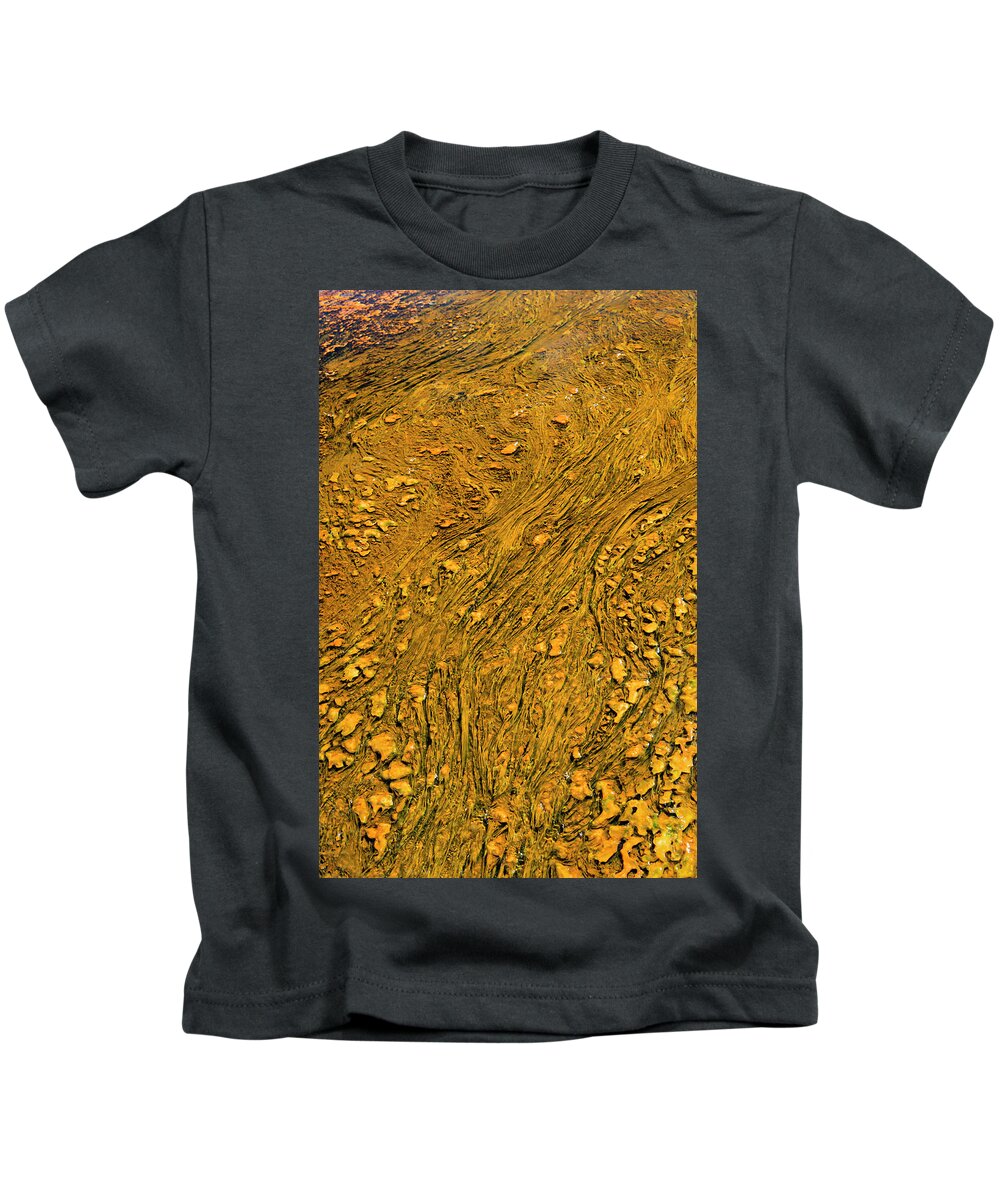 Wyoming Kids T-Shirt featuring the photograph Golden Threads by Norman Reid