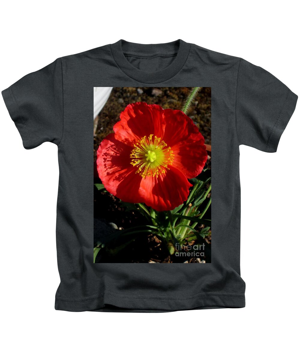 Flower Kids T-Shirt featuring the photograph Good evening Poppy by Marie Neder