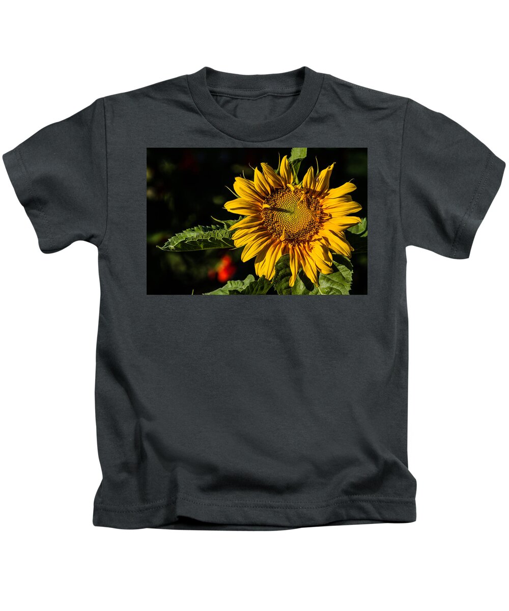 Sunflower Kids T-Shirt featuring the photograph Good Morning by Alana Thrower