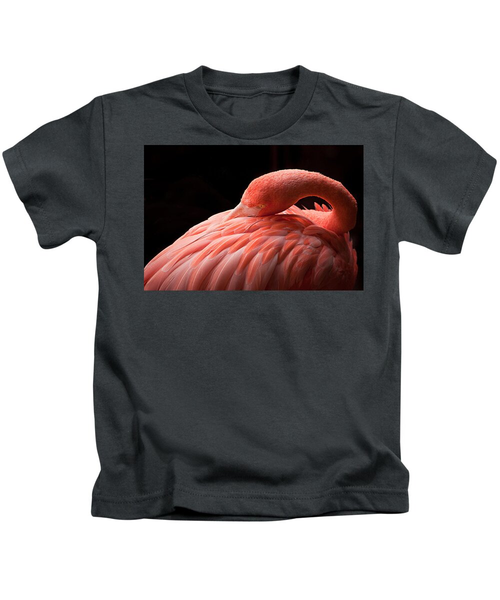 Bird Kids T-Shirt featuring the photograph Grace by Craig Szymanski