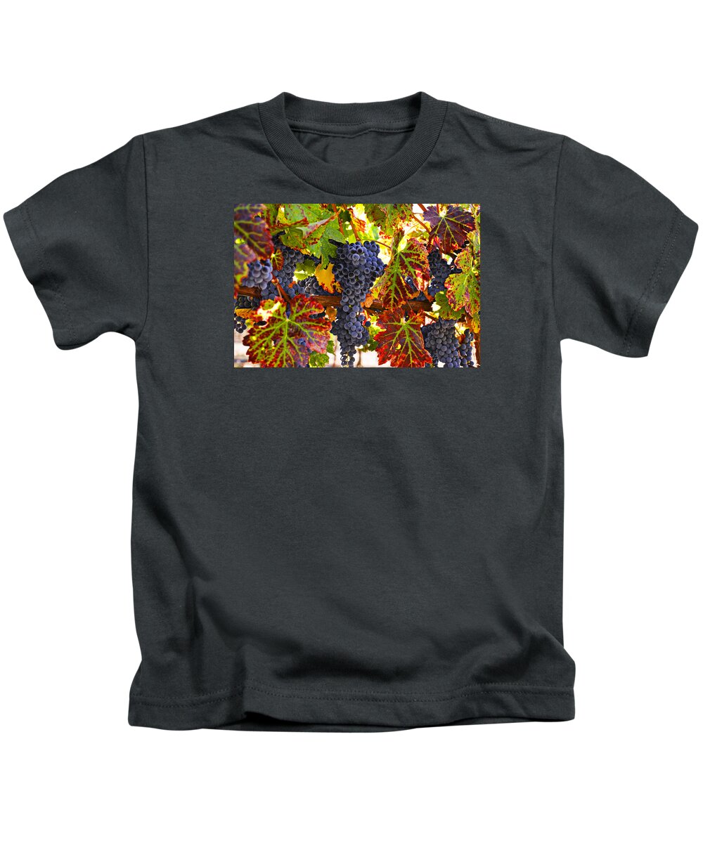 Grapes Kids T-Shirt featuring the photograph Grapes on vine in vineyards by Garry Gay