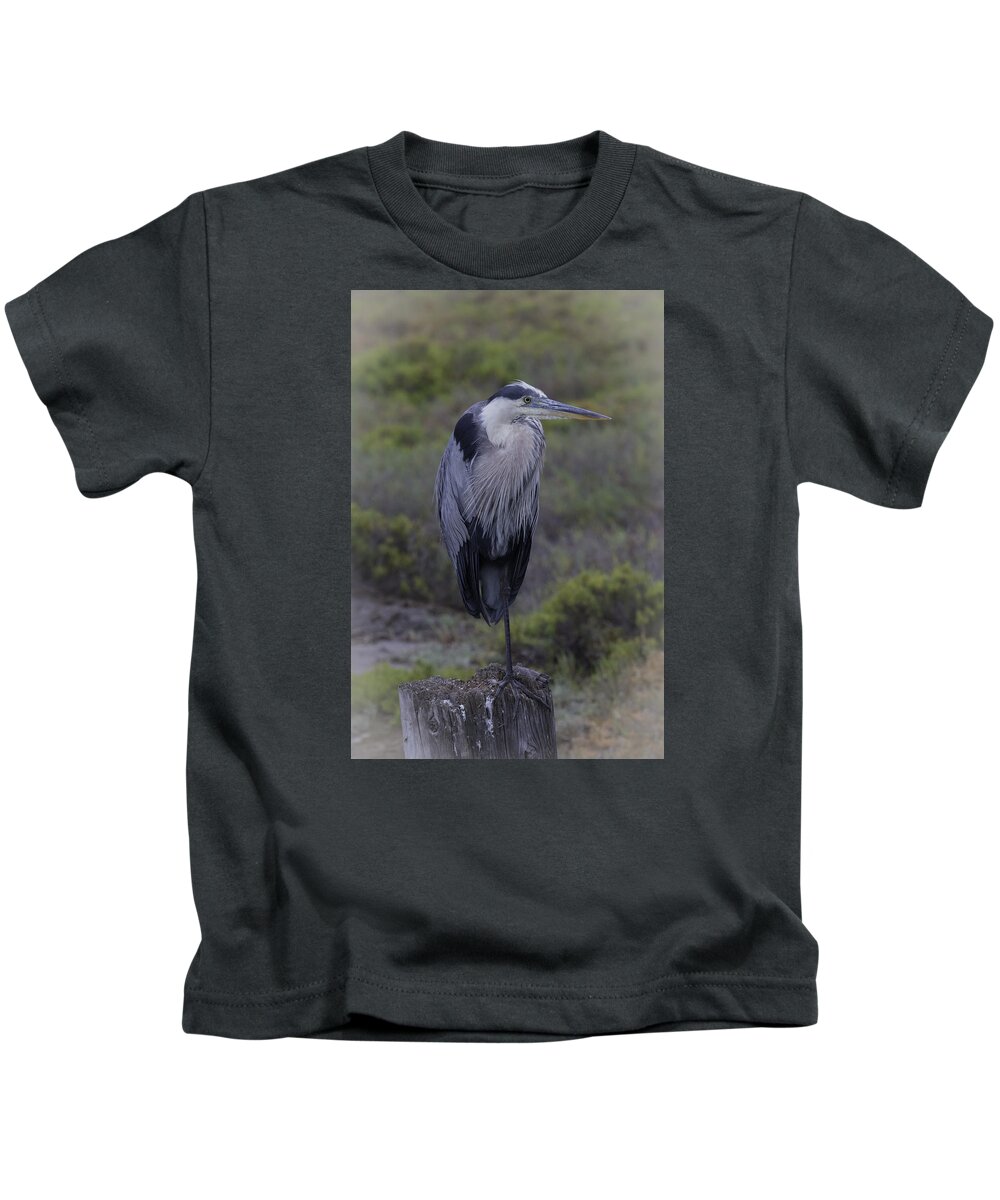 Great Blue Heron Kids T-Shirt featuring the photograph Great Blue Heron by Dusty Wynne