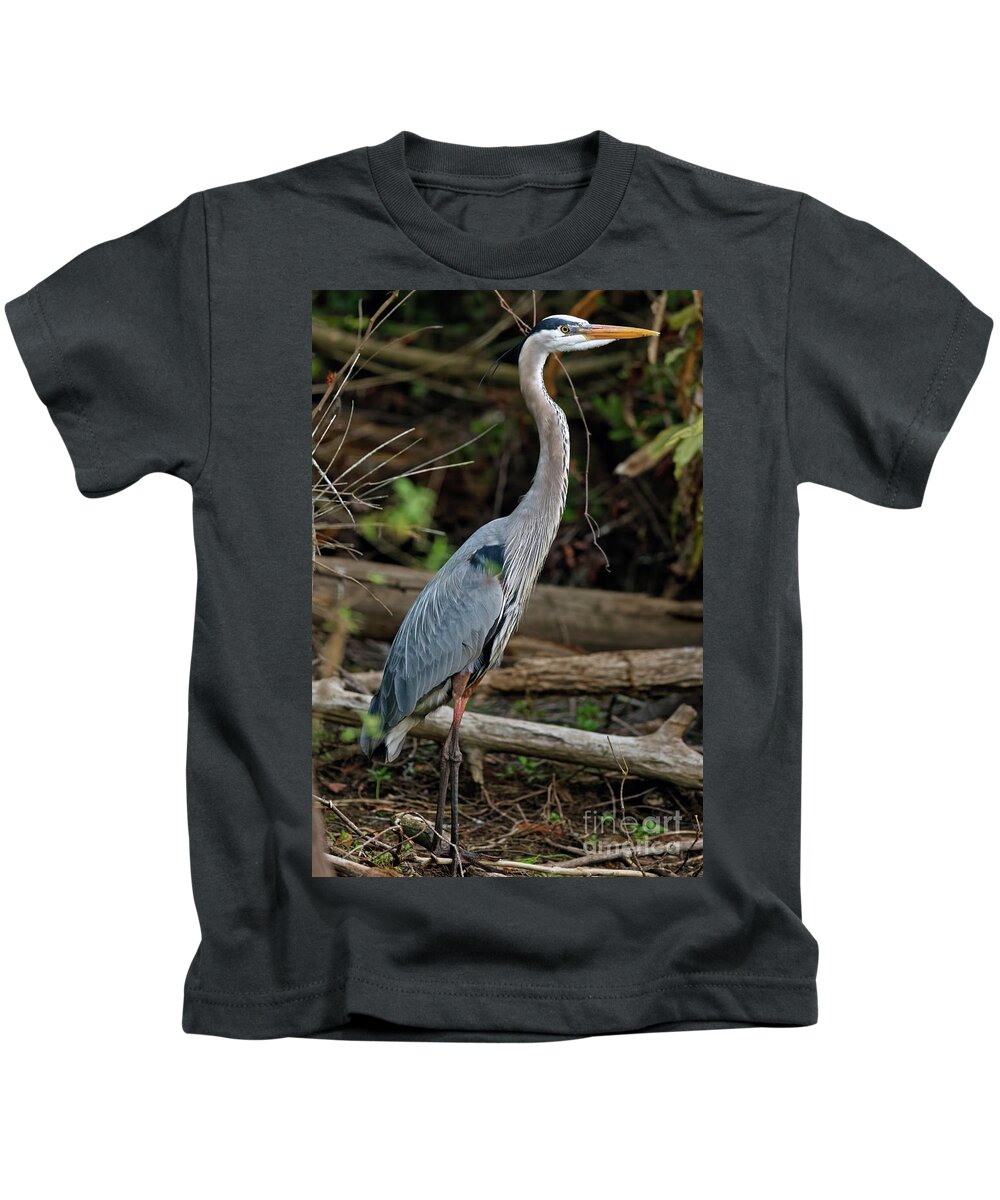 Great Blue Heron Kids T-Shirt featuring the photograph Great Blue Heron in Florida Swamp by Natural Focal Point Photography