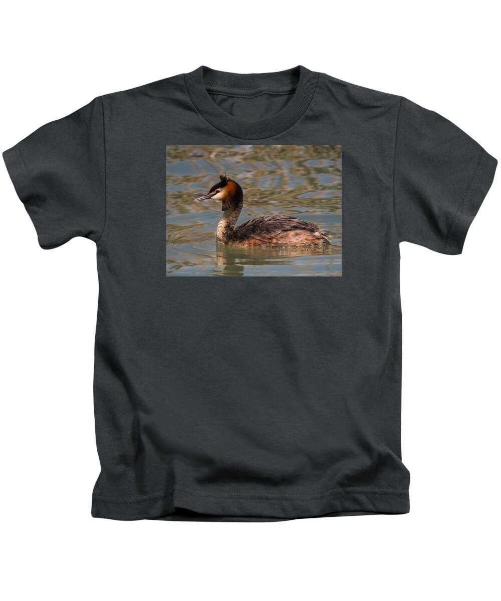 Grebe Kids T-Shirt featuring the photograph Great Crested Grebe by Claudio Maioli