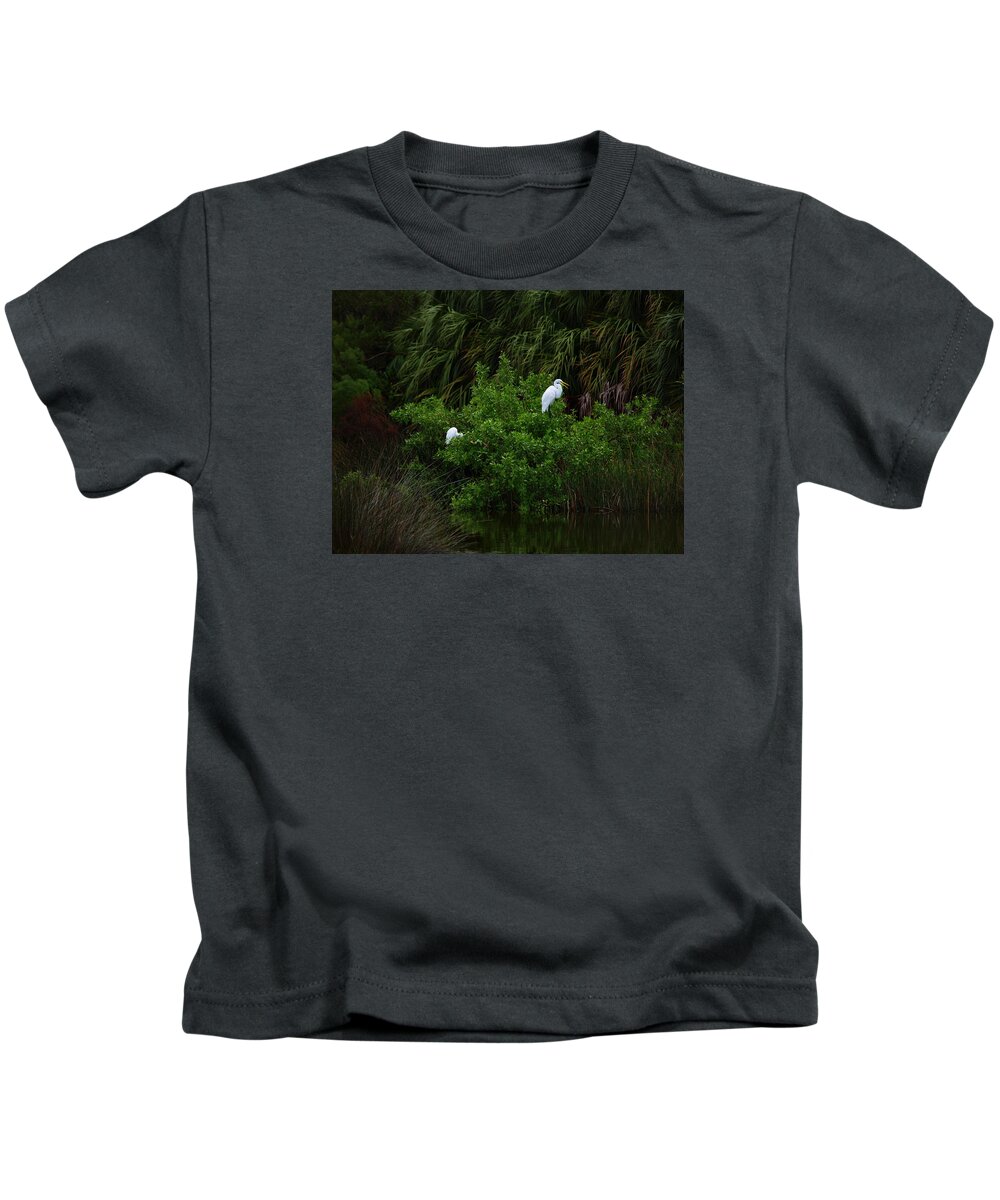 Great Egret Kids T-Shirt featuring the photograph Great Egrets by James Granberry