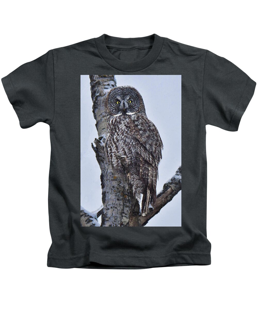 Bird Kids T-Shirt featuring the photograph Great Gray Owl by Alan Lenk
