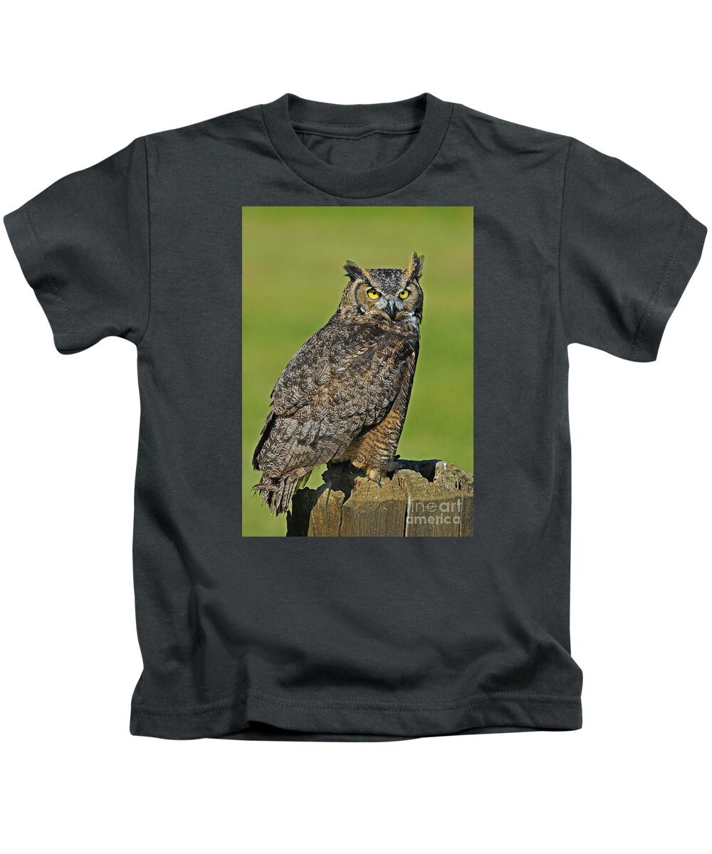 Parc Omega Kids T-Shirt featuring the photograph Great Horned Owl... by Nina Stavlund