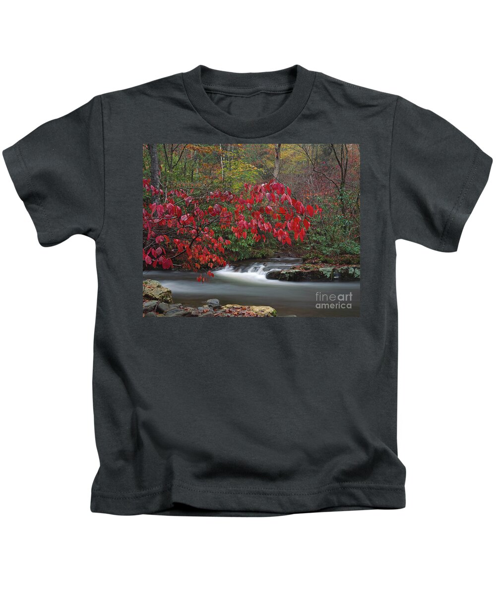 Great Smoky Mountains National Park Kids T-Shirt featuring the photograph Great Smoky Mountains NP, North Carolina by Kevin Shields