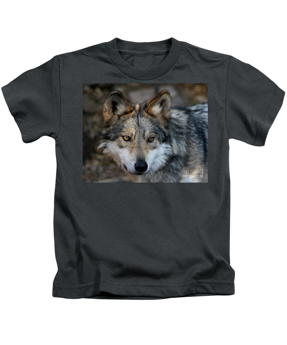 Grey Wolf Kids T-Shirt featuring the photograph Grey Wolf by Paula Guttilla