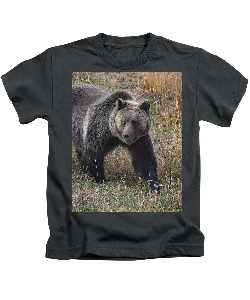 Mark Miller Photos. Grizzly Kids T-Shirt featuring the photograph Grizzly Bear in Fall by Mark Miller