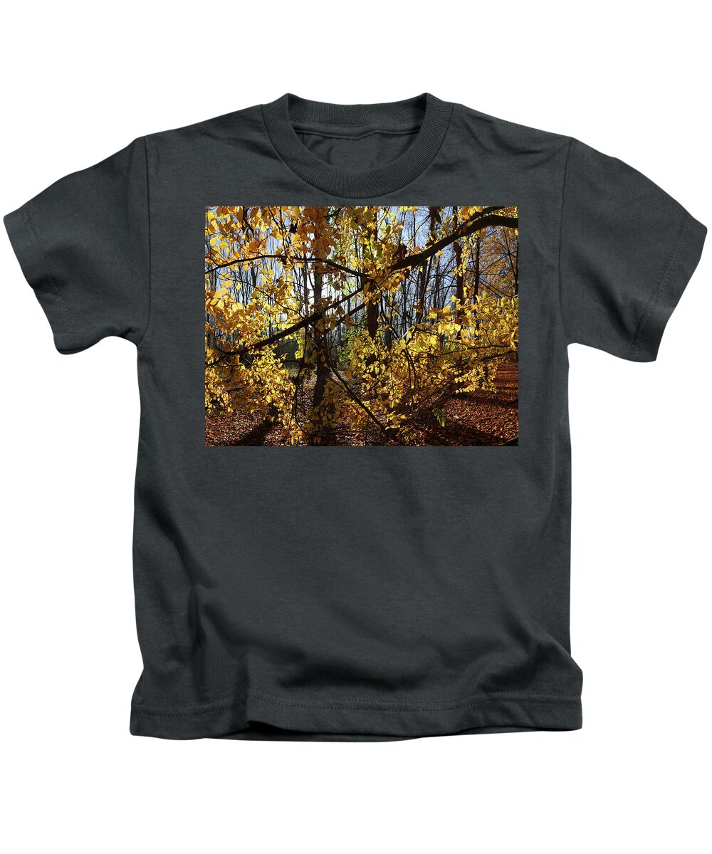 Branch Kids T-Shirt featuring the photograph Hanging branch by Erik Tanghe