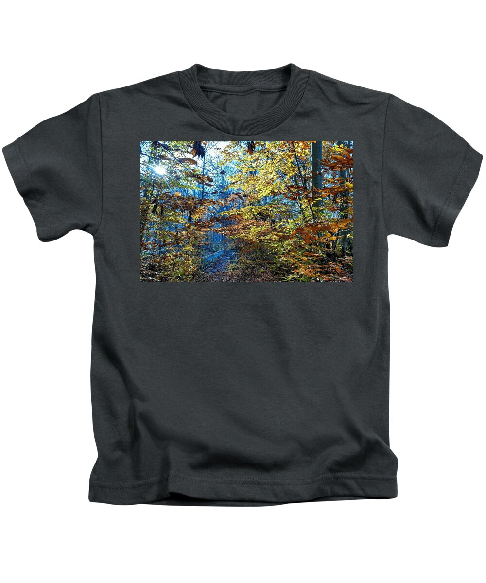  Kids T-Shirt featuring the photograph Hidden Bridge by Brad Nellis