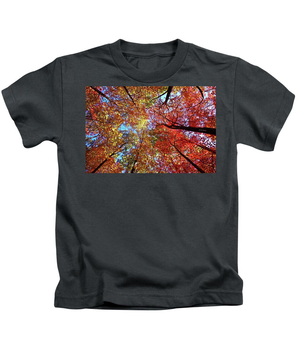 Blue Ridge Mountains Kids T-Shirt featuring the photograph High Color by Dale R Carlson