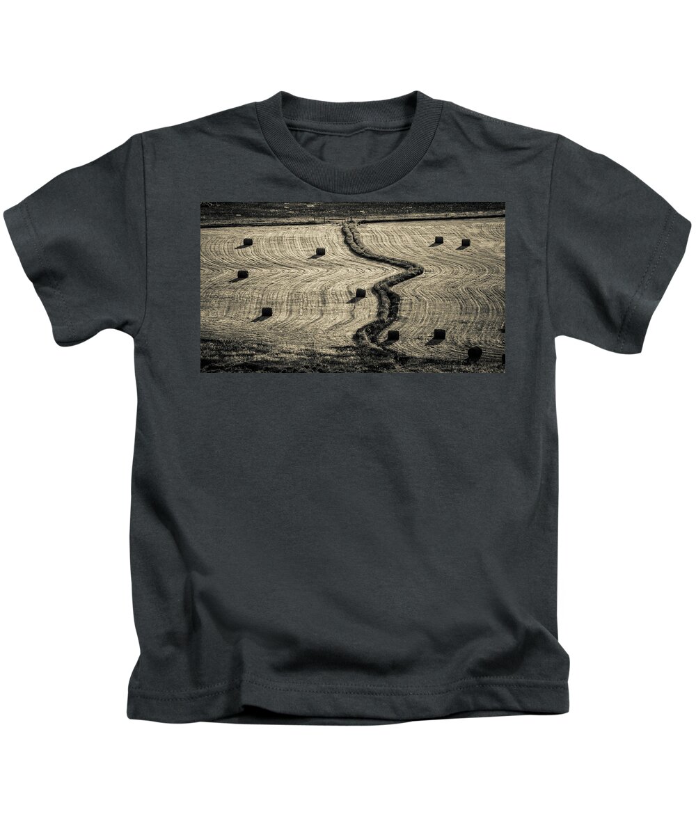 #hayfield #colorado #pattern #sepia Kids T-Shirt featuring the photograph High Mountain Hay Field #3 by Stephen Holst