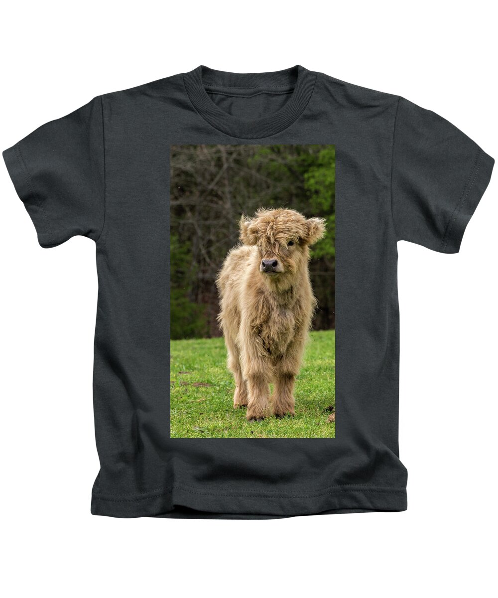 Calf Kids T-Shirt featuring the photograph Highland Calf by Holly Ross