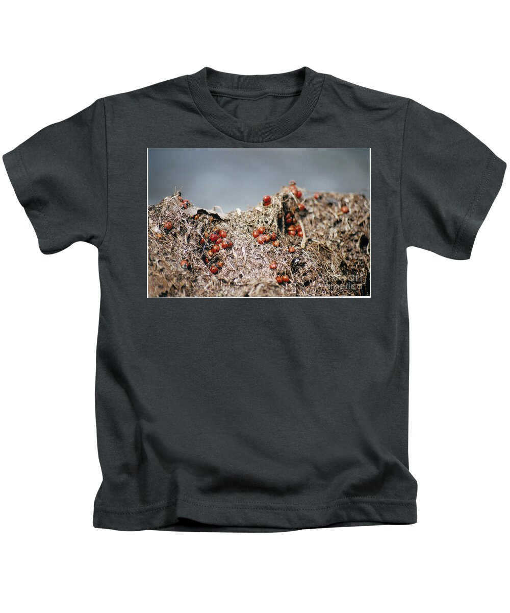 Beach Kids T-Shirt featuring the photograph Hill Climbing Games by Mary Mikawoz