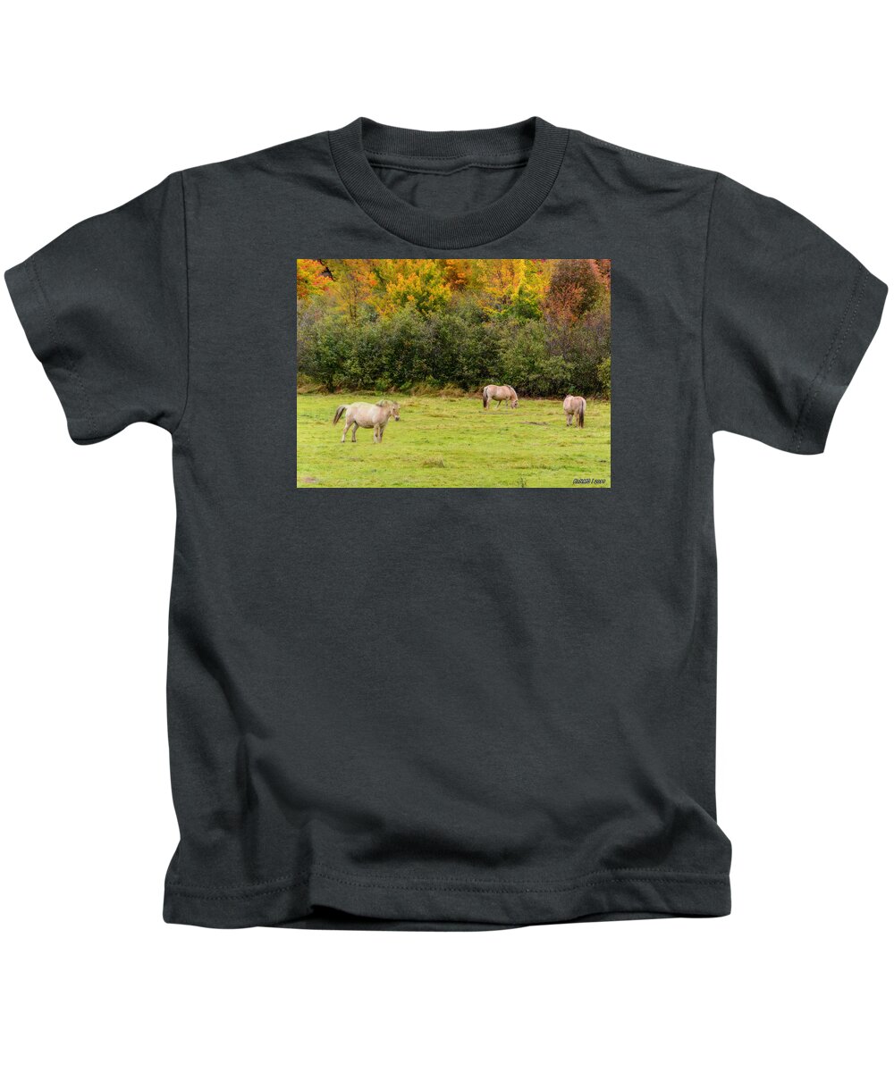 Lake Ainslie Kids T-Shirt featuring the photograph Horses Enjoying a Beautiful Autumn Day by Ken Morris