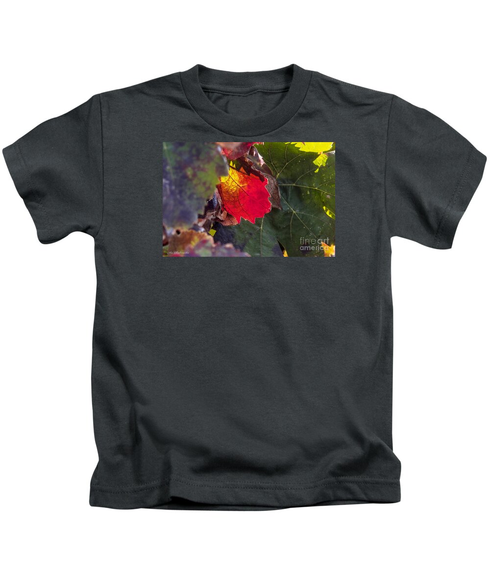 Autumn Kids T-Shirt featuring the photograph Hot autumn colors in the vineyard by Arik Baltinester