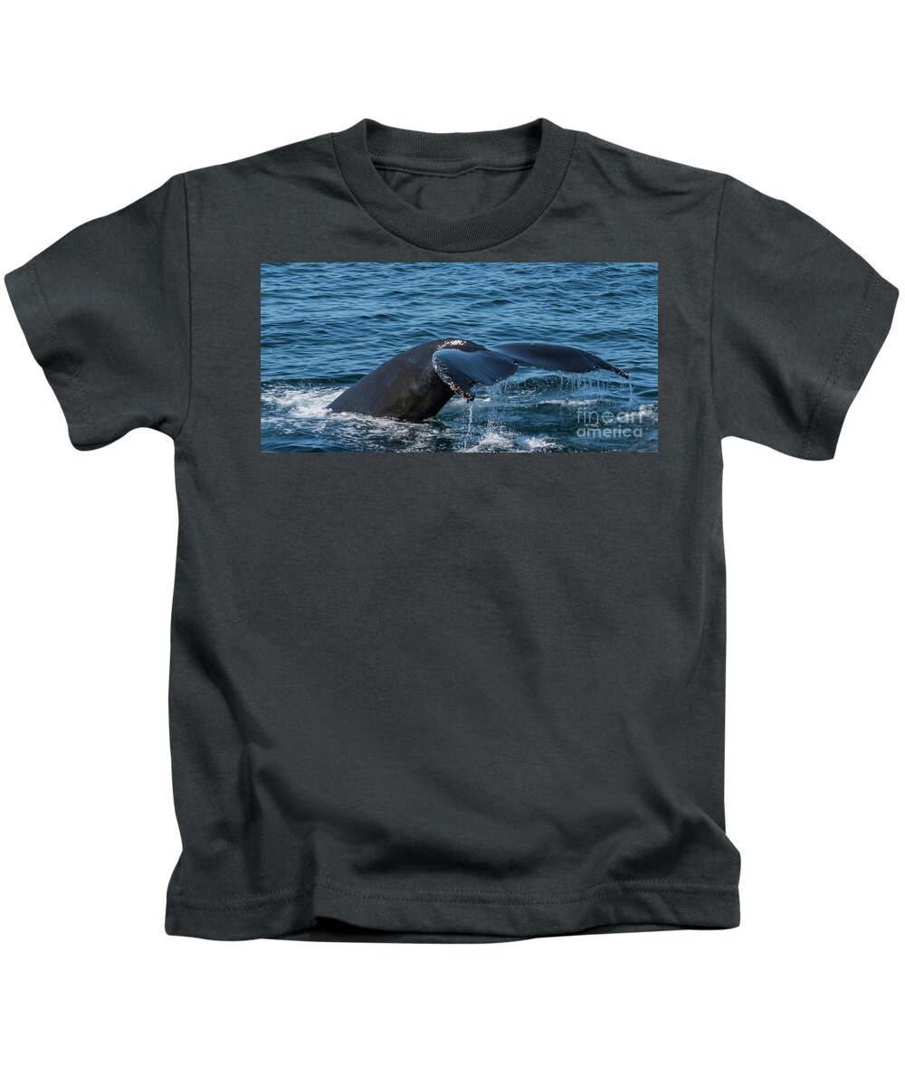Whale Kids T-Shirt featuring the photograph Humpback Whale Tail 4 by Lorraine Cosgrove