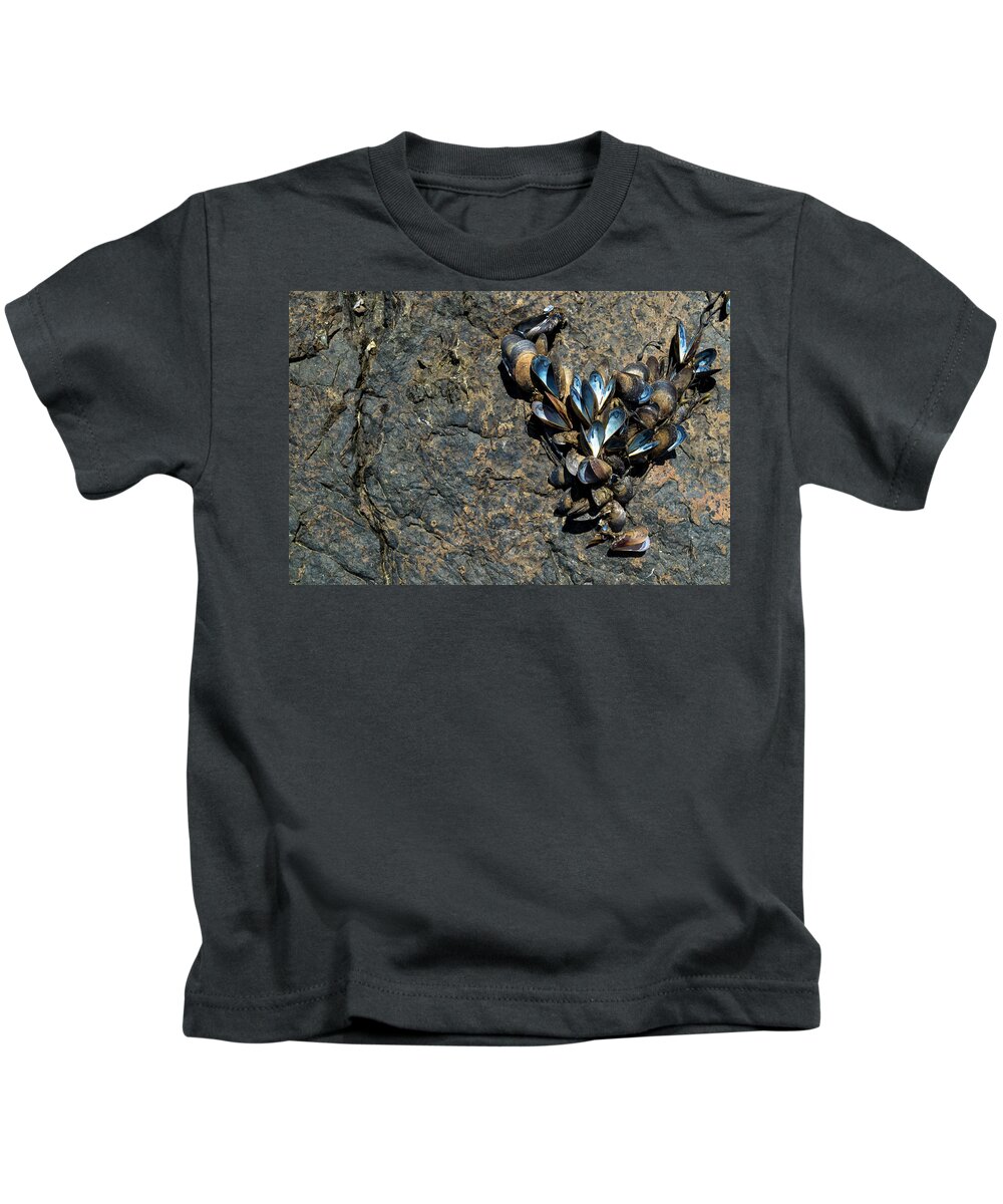 Maine Kids T-Shirt featuring the photograph I Love Maine by Holly Ross