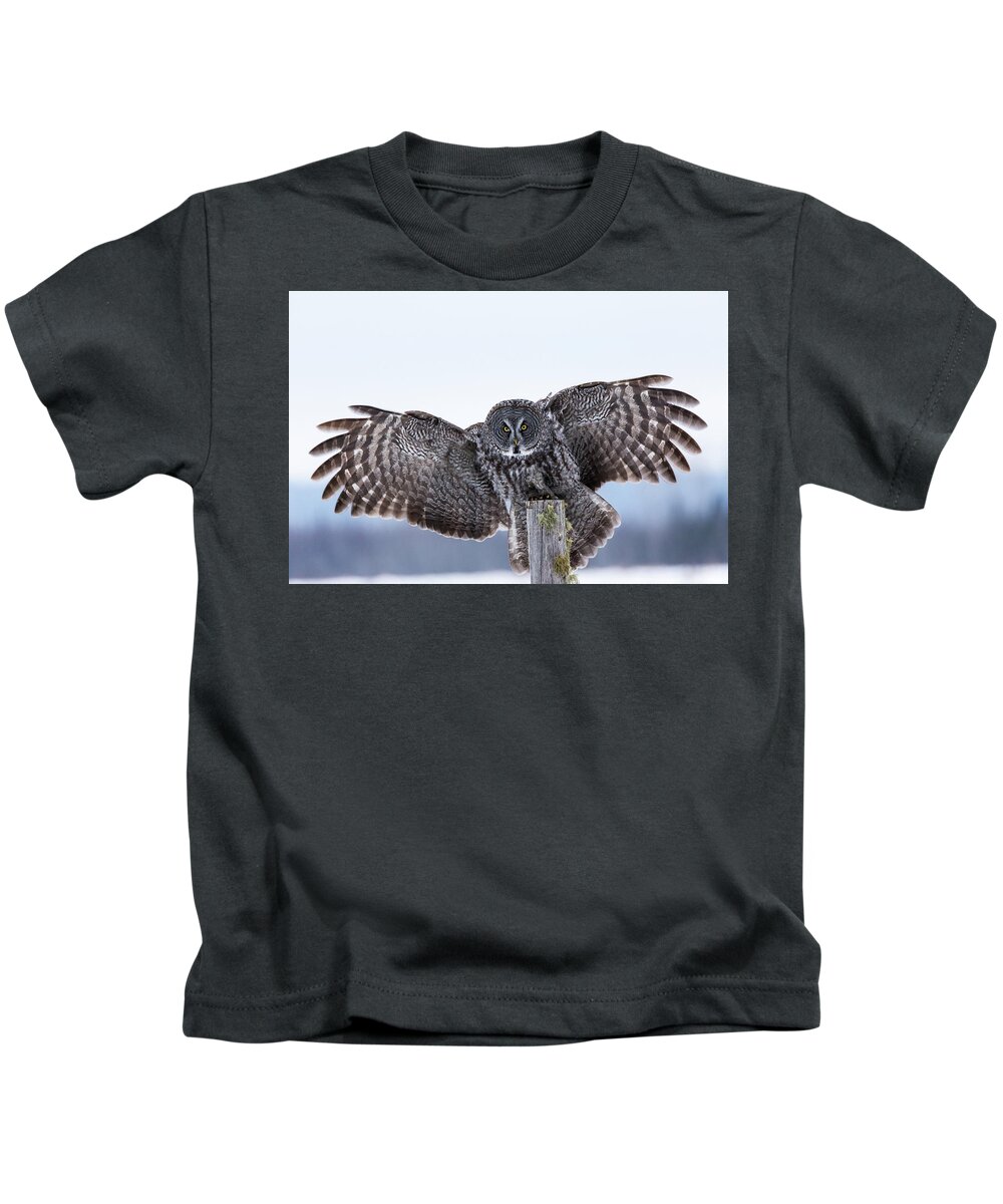 Great Grey Owl Kids T-Shirt featuring the photograph If Looks Could Kill by Linda Ryma