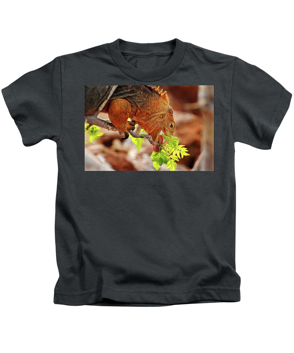 Iguana Kids T-Shirt featuring the photograph Iguana Lunch by Ted Keller