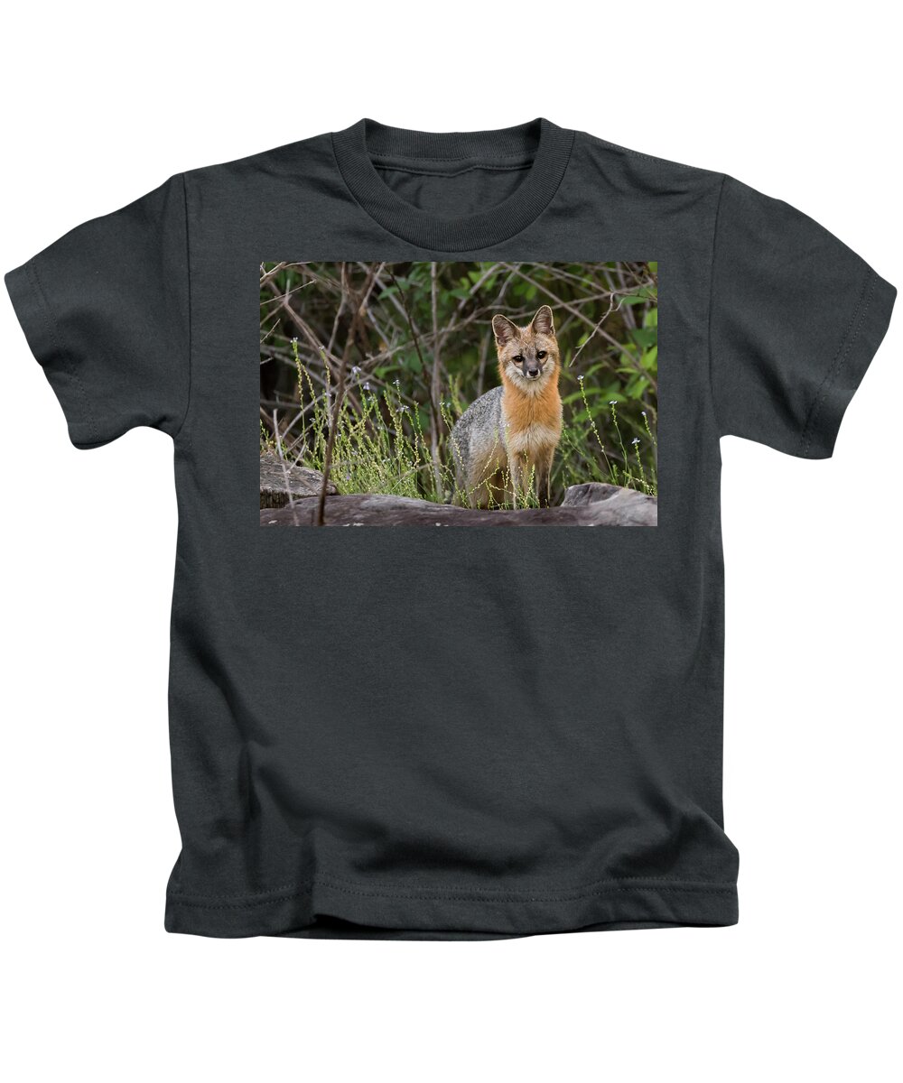 Grey Fox Cloudland Kids T-Shirt featuring the photograph I'm Back by Norman Peay