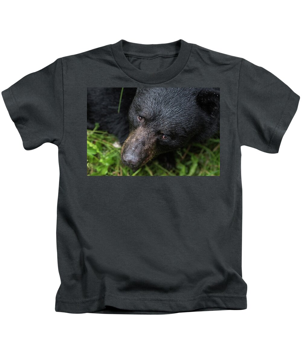 Black Bear Kids T-Shirt featuring the photograph Im Watching you by David Kirby