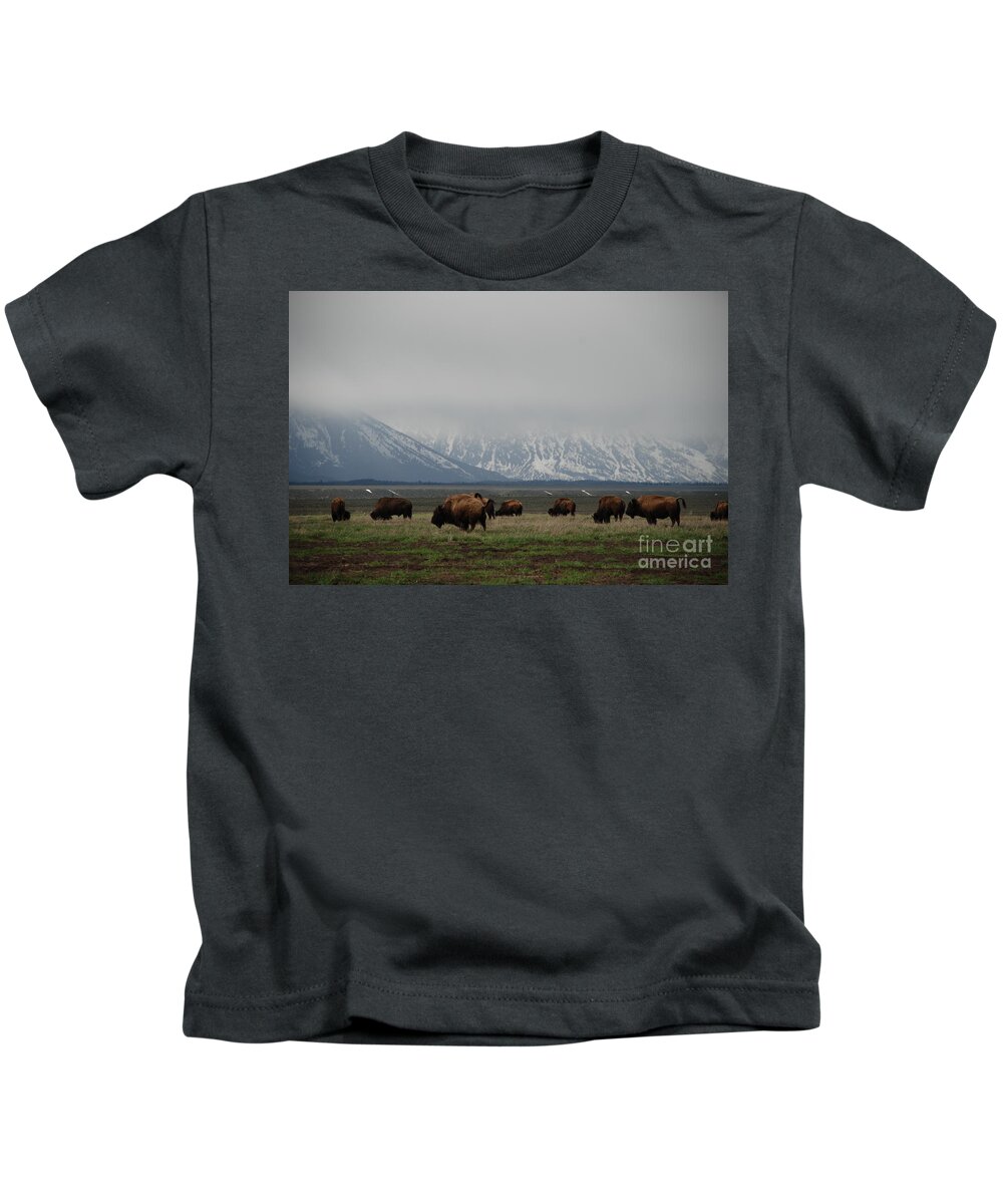 Bison Kids T-Shirt featuring the photograph in the Tetons by Jim Goodman