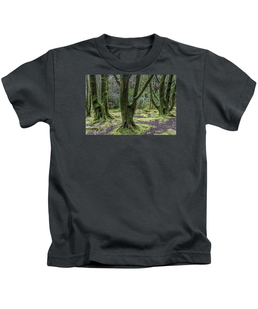 Original Kids T-Shirt featuring the photograph Into the Irish woods by WAZgriffin Digital