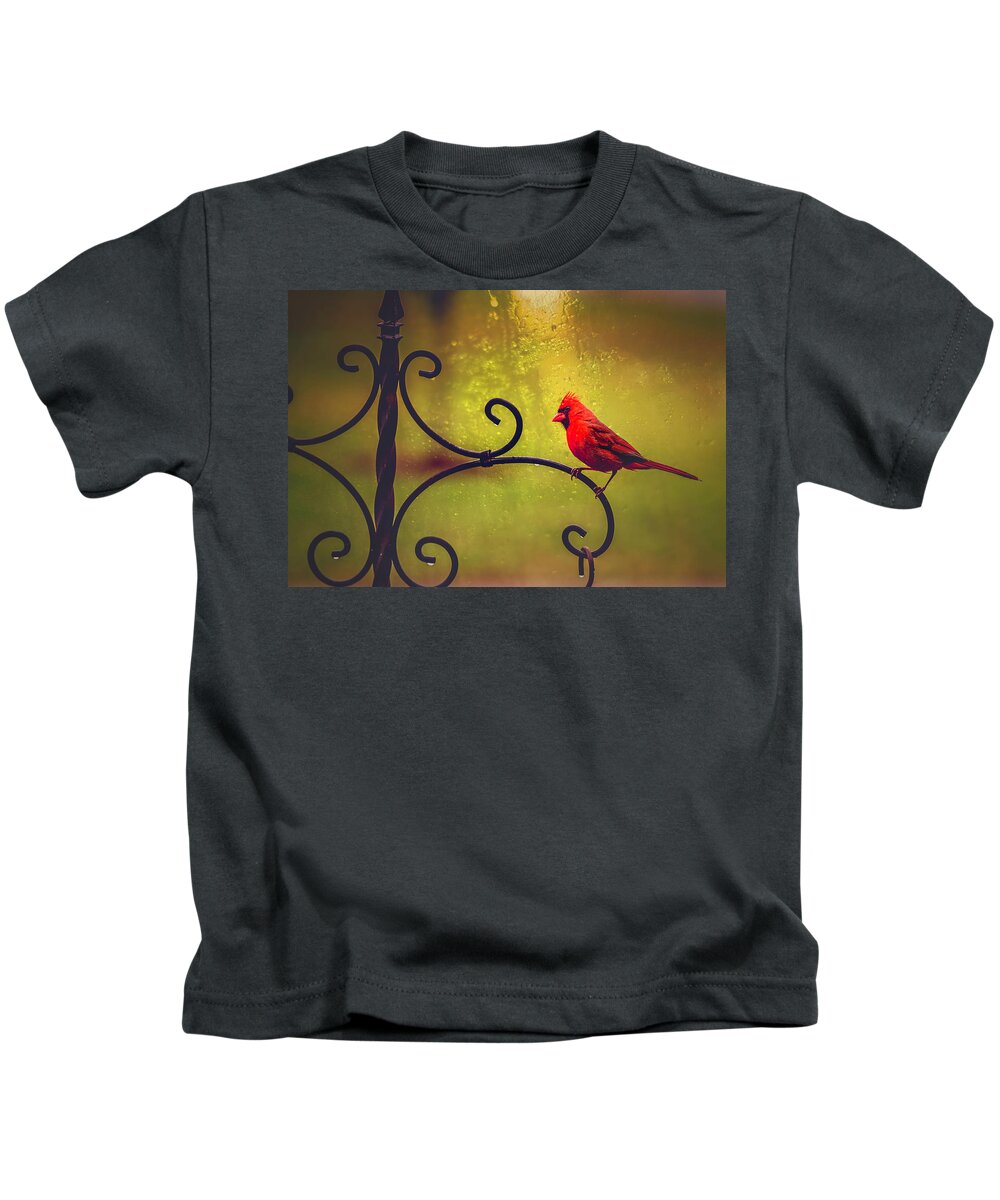 Rain Kids T-Shirt featuring the photograph It Rained Today by Cynthia Wolfe
