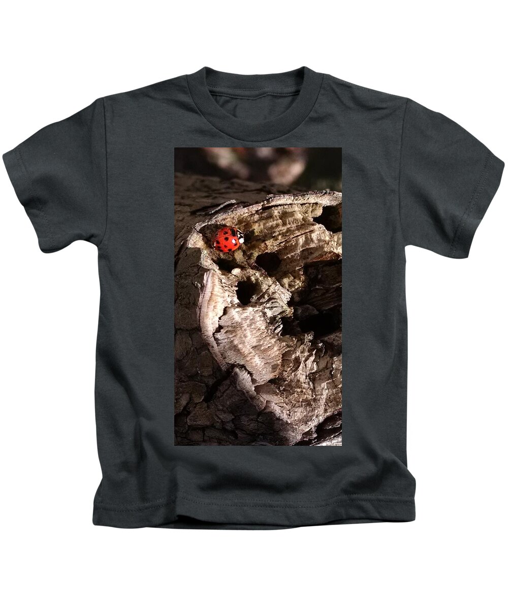 Ladybug Kids T-Shirt featuring the photograph Just A Place To Rest by Allen Nice-Webb