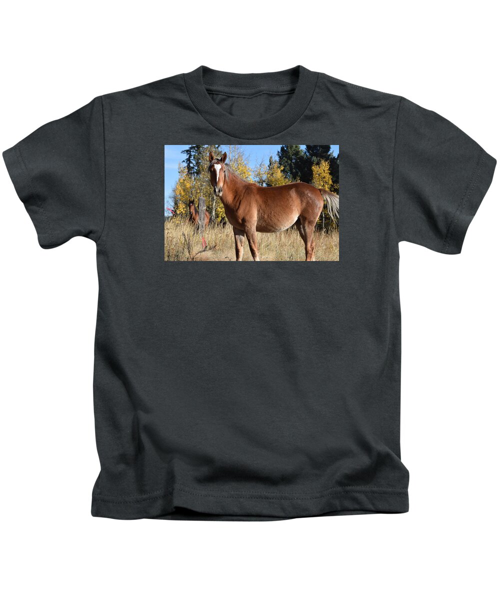 Animal Kids T-Shirt featuring the photograph Horse CR 511 Divide CO by Margarethe Binkley