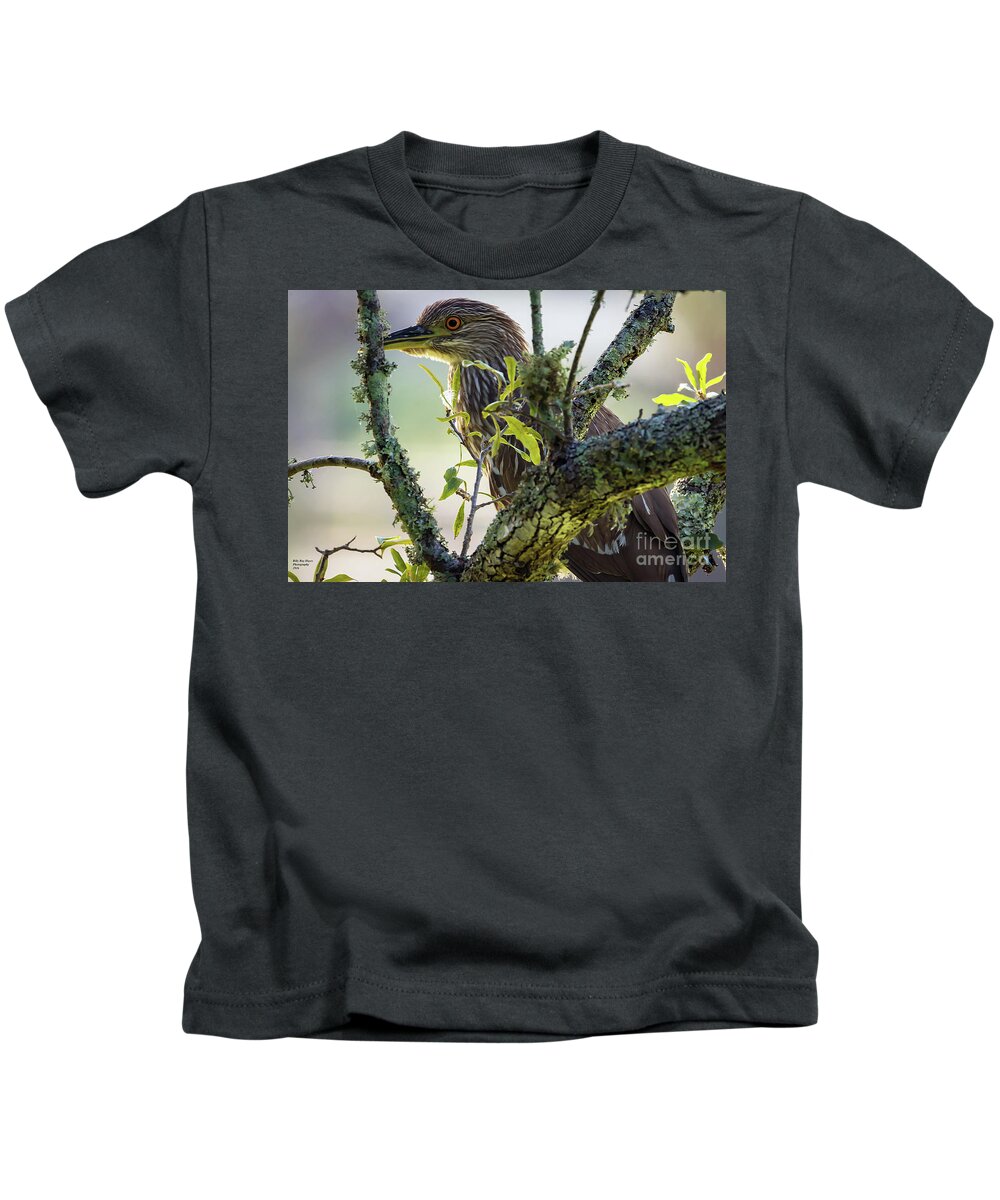 Nature Kids T-Shirt featuring the photograph Juvenile Black Crown Night Heron on Alert by DB Hayes