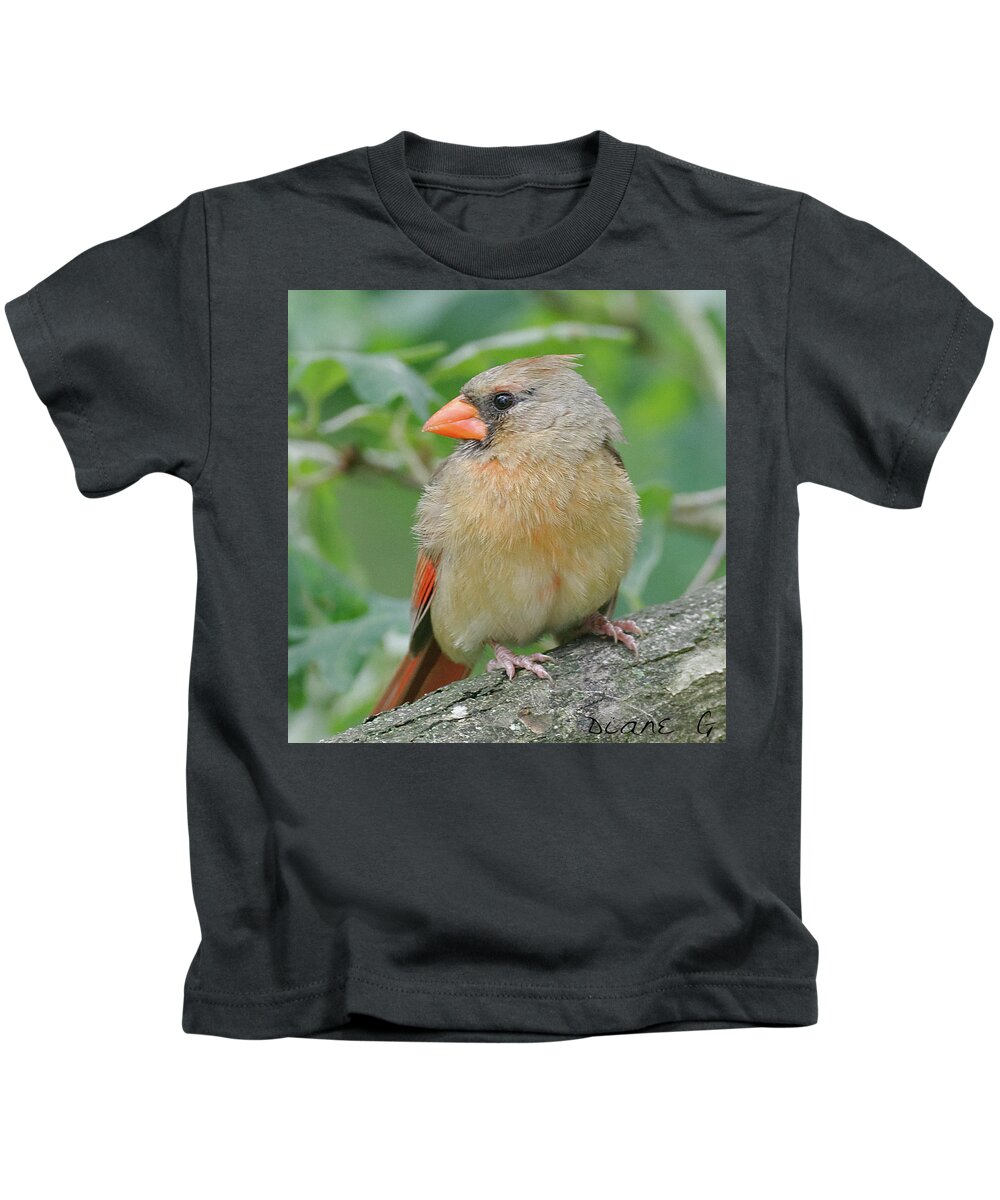 Juvenile Female Cardinal Kids T-Shirt featuring the photograph Juvenile Female Cardinal by Diane Giurco