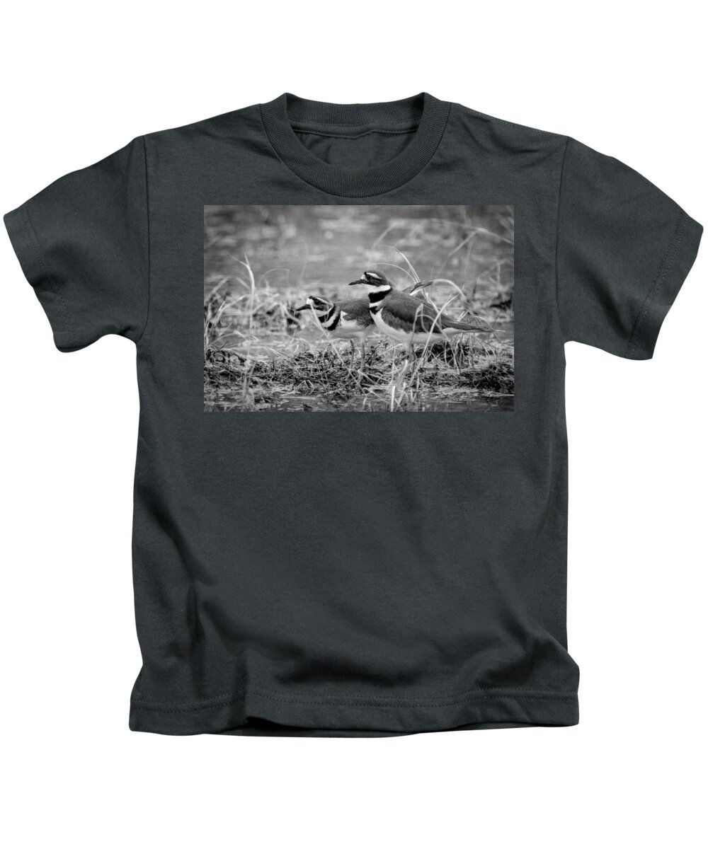 Nature Kids T-Shirt featuring the photograph Killdeer Seeking by Jeff Phillippi