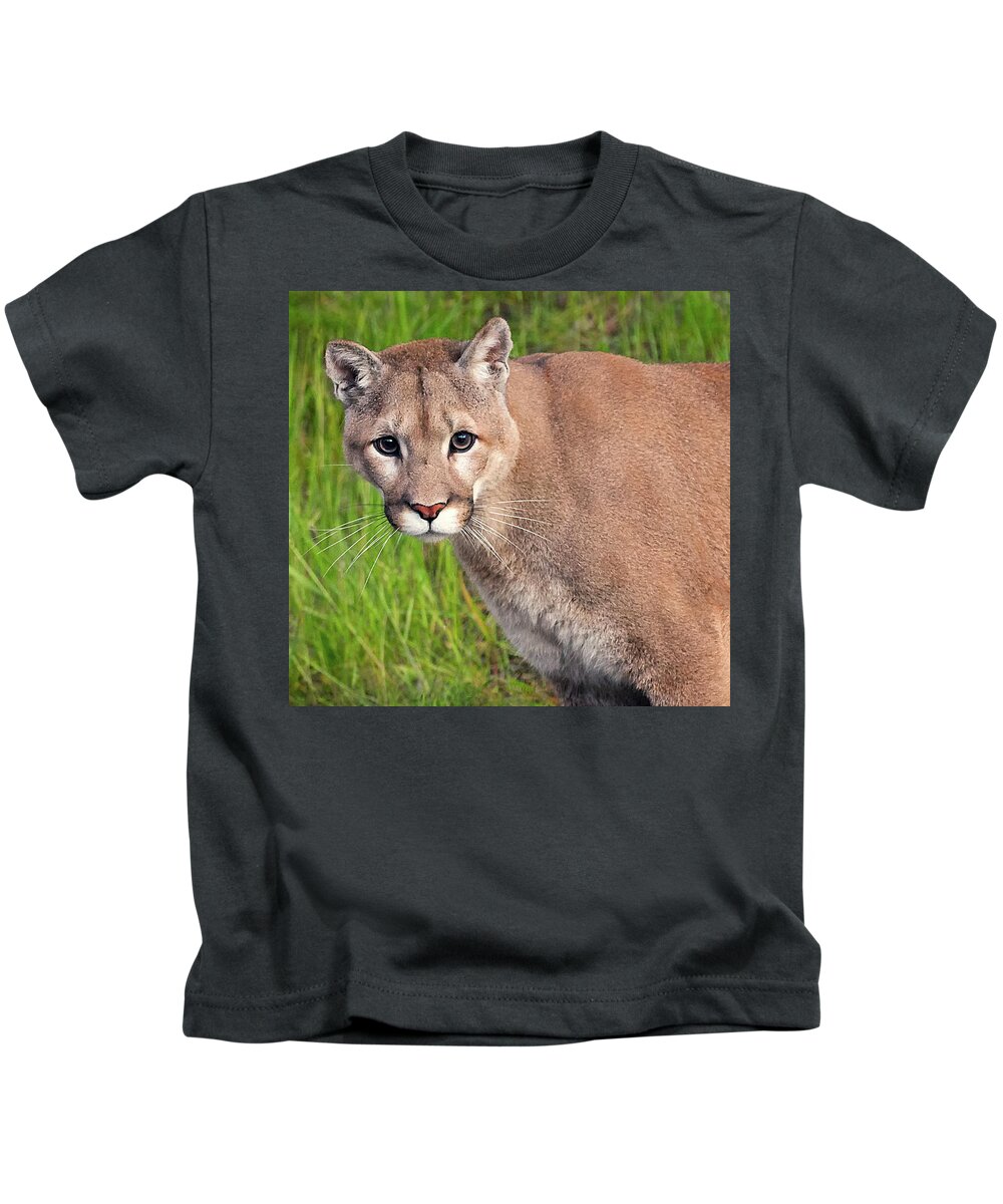 Mountain Lion Kids T-Shirt featuring the photograph Kitty Look by Art Cole