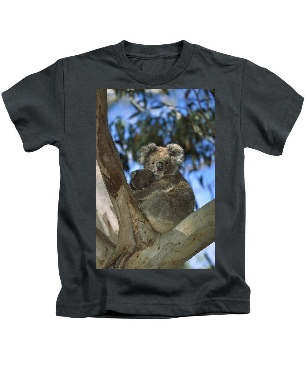 Mp Kids T-Shirt featuring the photograph Koala Phascolarctos Cinereus Mother by Konrad Wothe