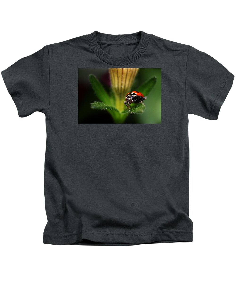 Lady Bug Kids T-Shirt featuring the photograph Lady Bug 1 by Darcy Dietrich