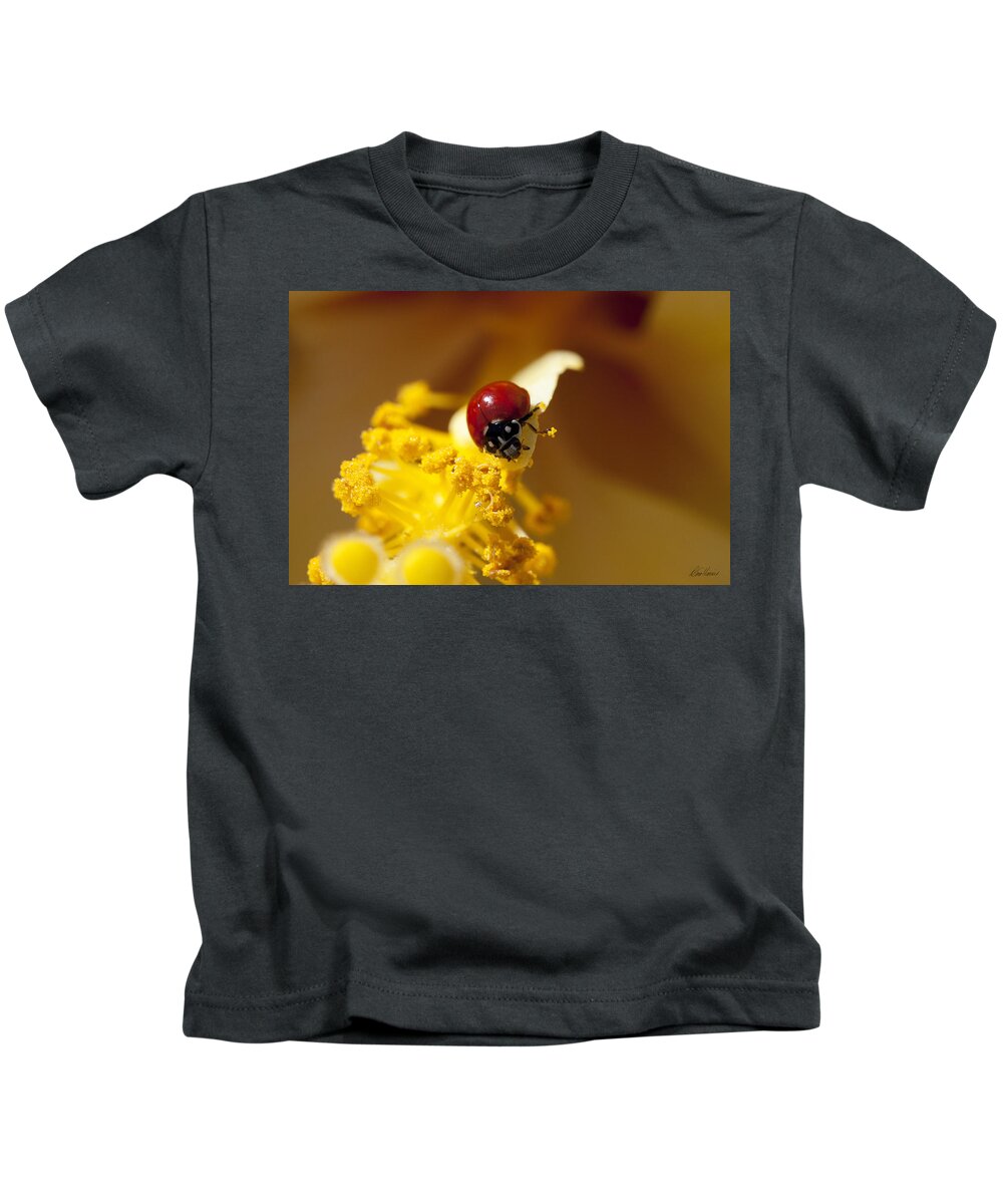 Ladybug Kids T-Shirt featuring the photograph Ladybug Picking Flowers by Diana Haronis