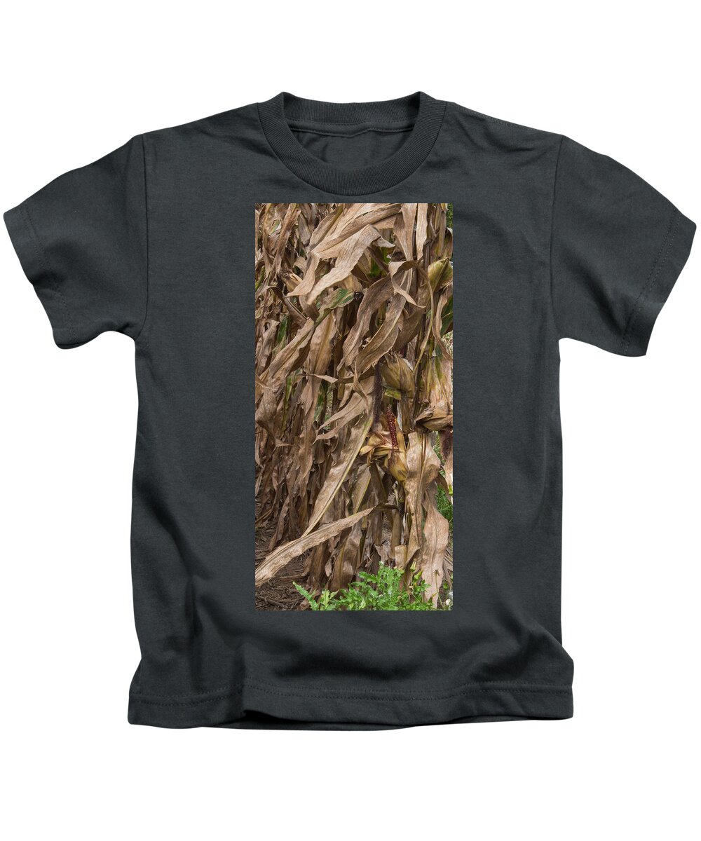 Corn Kids T-Shirt featuring the photograph Last Ear Standing by Arlene Carmel