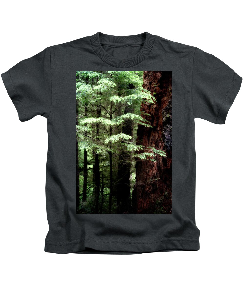 Trees Kids T-Shirt featuring the photograph Light on Trees by David Chasey