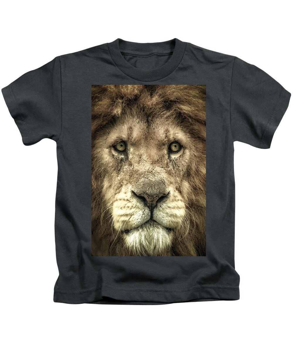 Lion Kids T-Shirt featuring the photograph Lion Portrait by Chris Boulton
