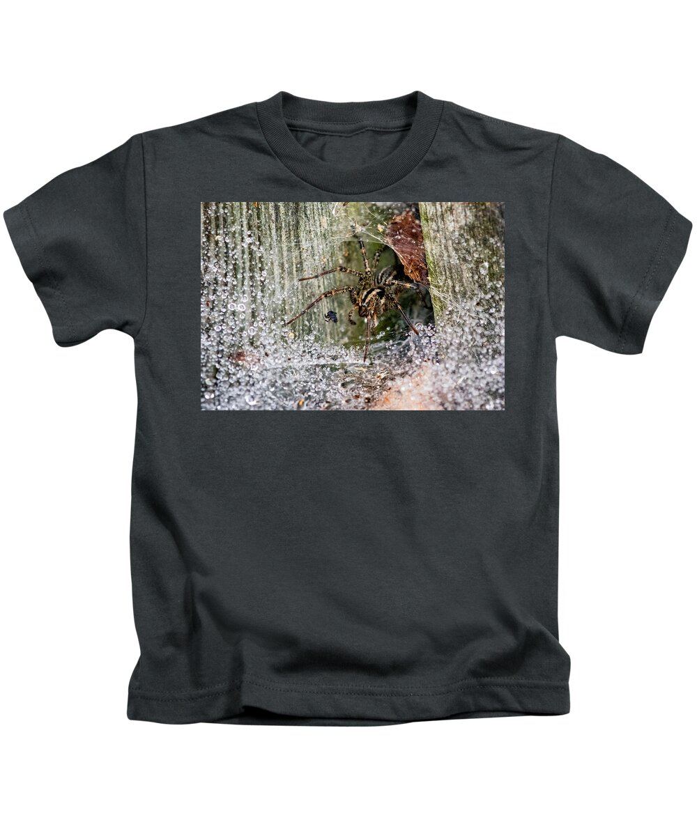Steve Harrington Kids T-Shirt featuring the photograph Lobo's Web by Steve Harrington