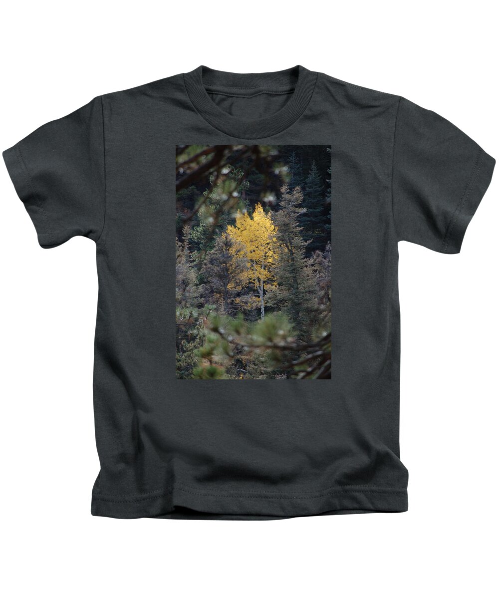 Lone Aspen Kids T-Shirt featuring the photograph Lone Aspen by Jennifer Forsyth