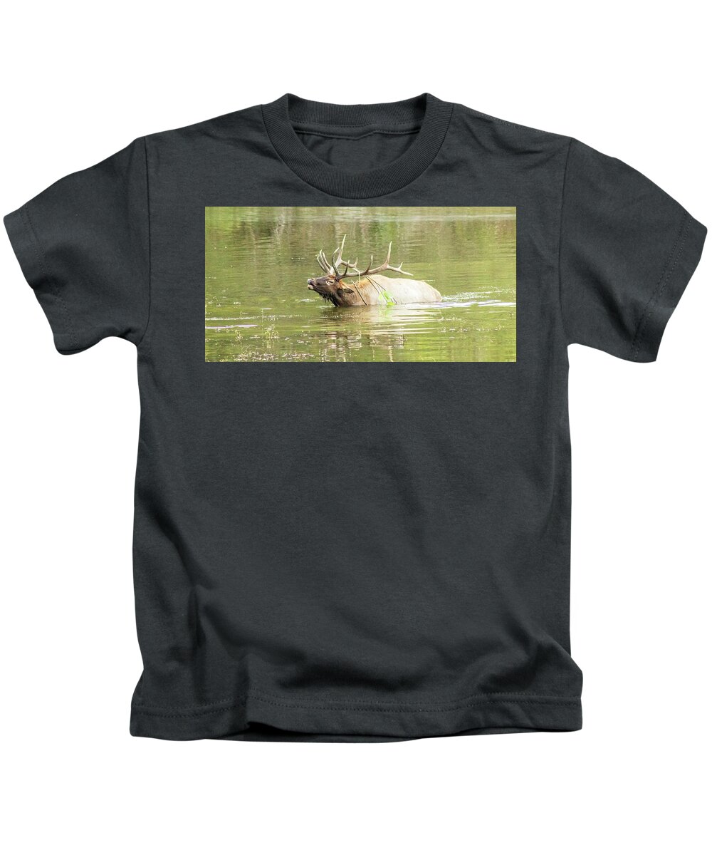 Elk Kids T-Shirt featuring the photograph Love Songs by Holly Ross