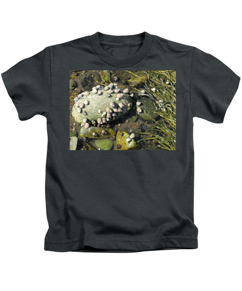 Life At Low Tide For An Hour Or Two.  Kids T-Shirt featuring the photograph Low Tide Snails by Deborah Ferree
